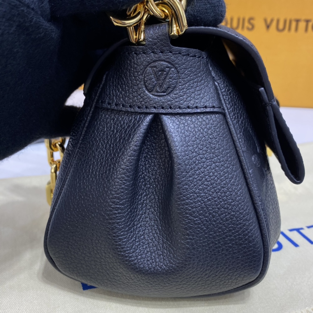 Louis Vuitton FAVORITE Monogram Shoudler Bag  M45813 Black